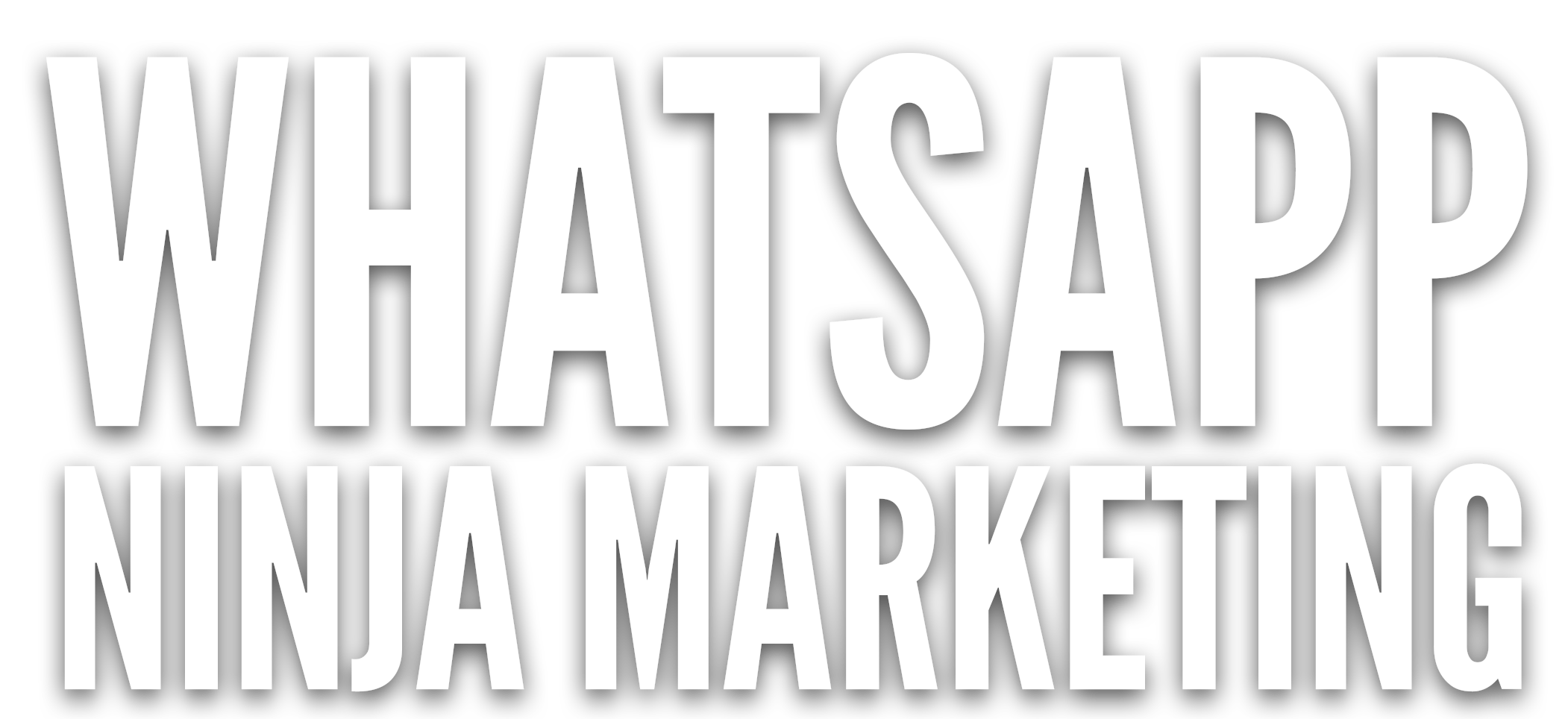 WhatsApp Ninja Marketing
 